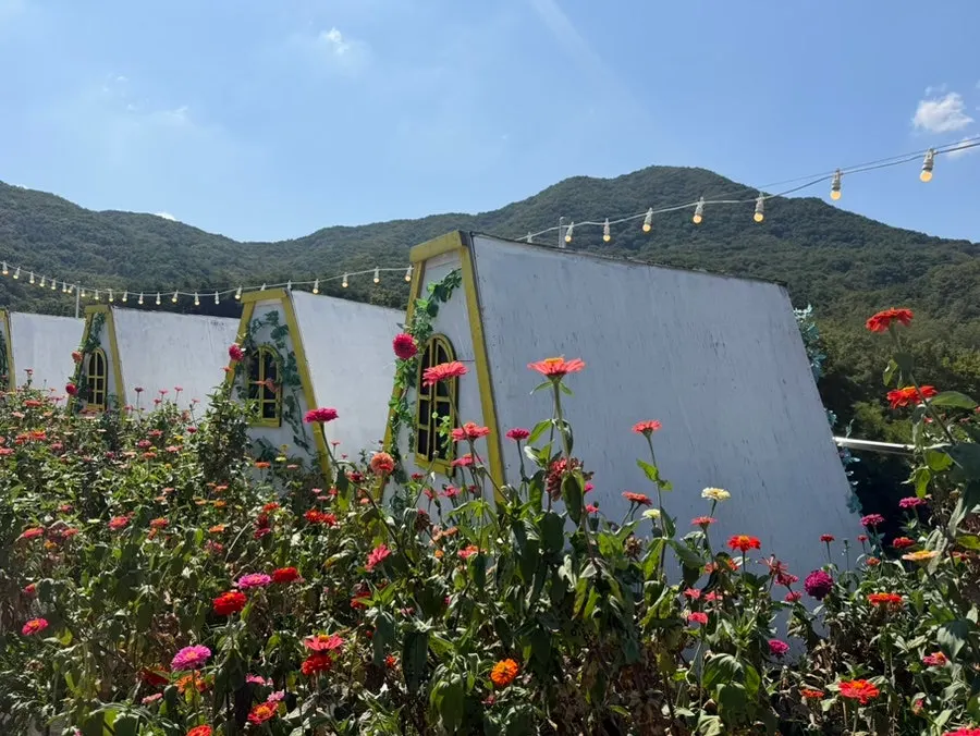 Siyudang's rooftop photo zone