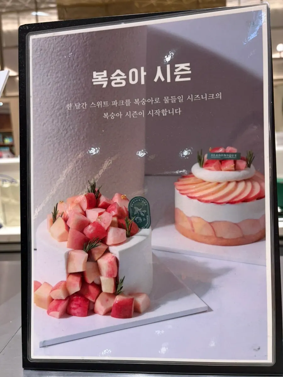 세로로 담은 시즈니크 케이크 진열대