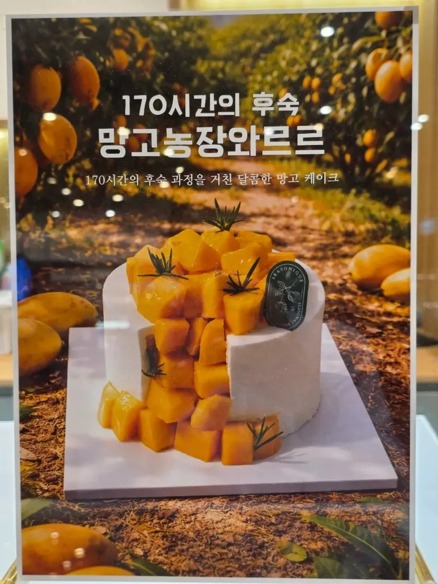 Vertical shot of whole-fruit cakes in the showcase
