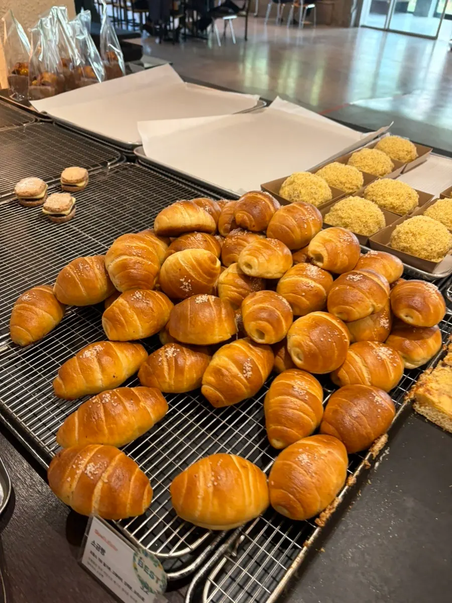 Bread displayed on the bakery shelves