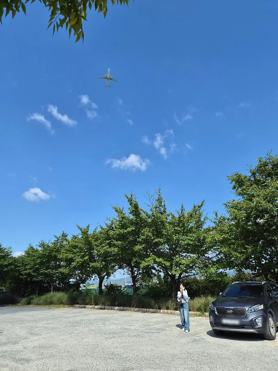 A plane and autumn sky seen from the Slow But Barrel parking lot