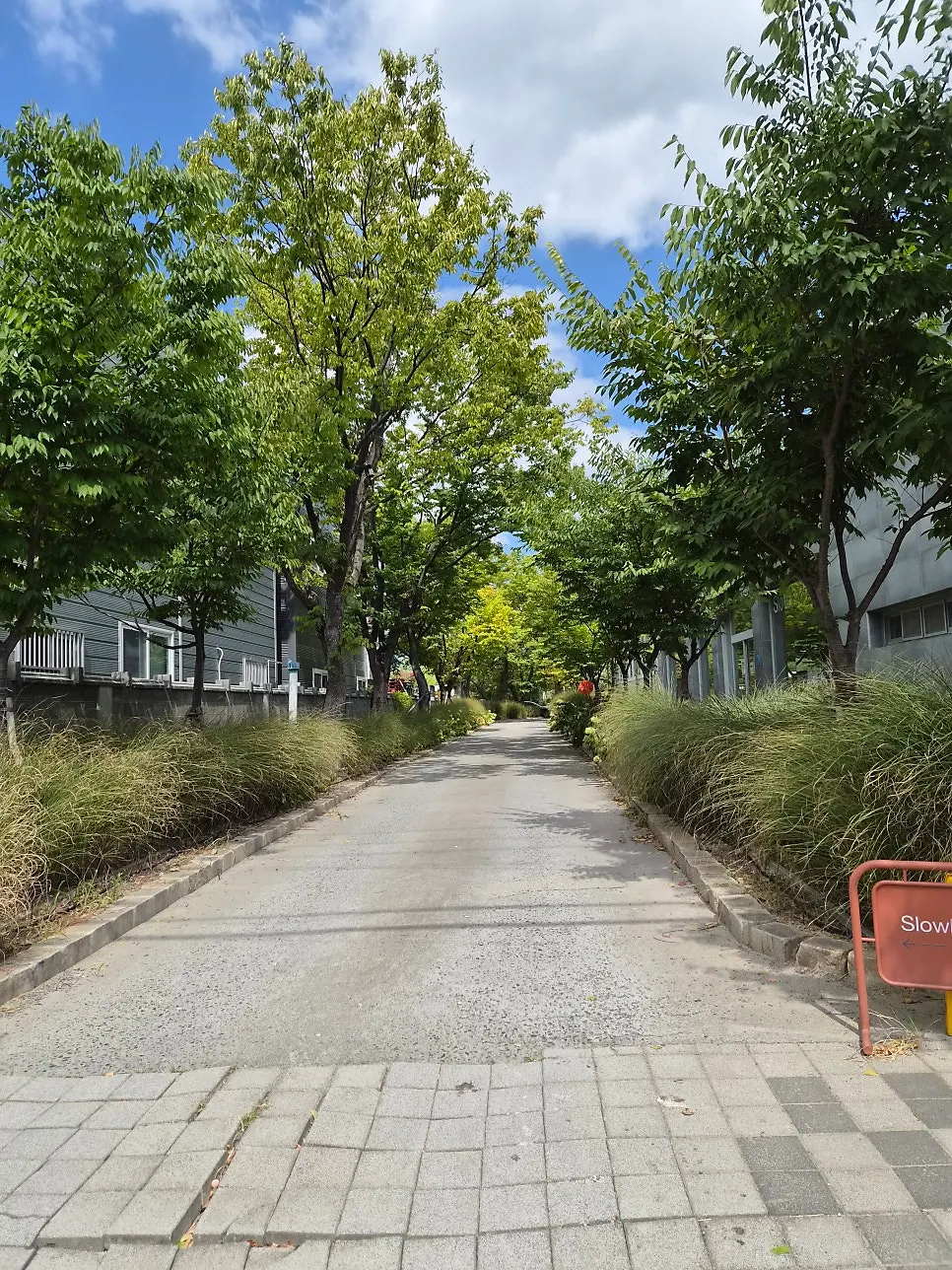 The narrow single-lane parking entrance at Slow But Barrel Daegu