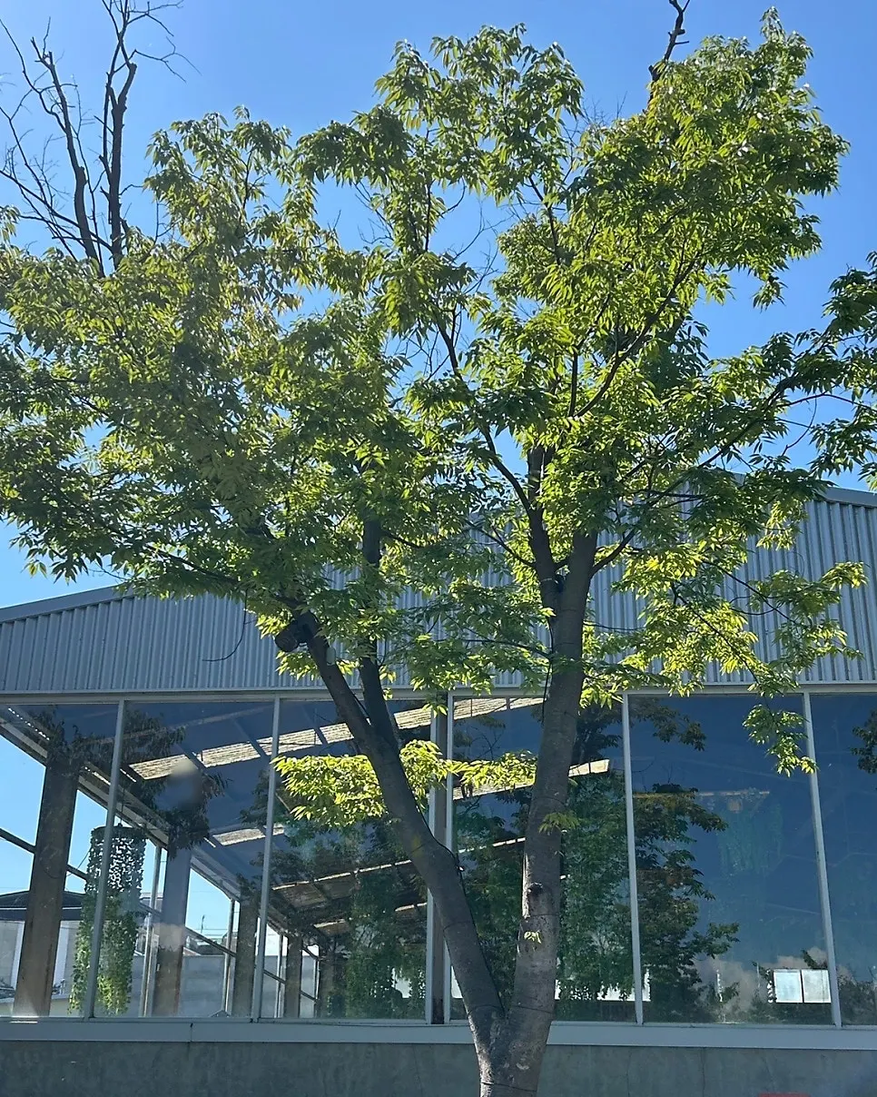 The Slow But Barrel building seen from the parking lot