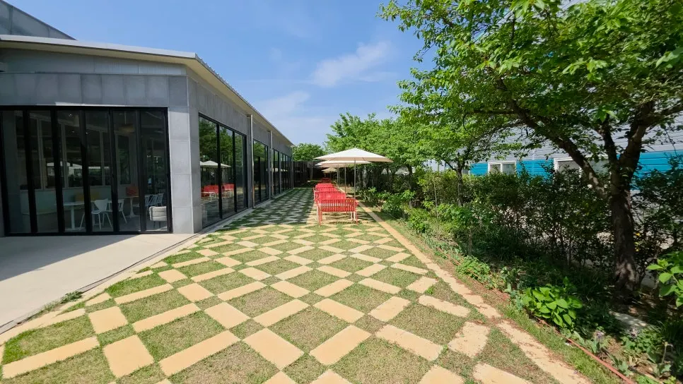 View of the terrace lawn and outdoor space