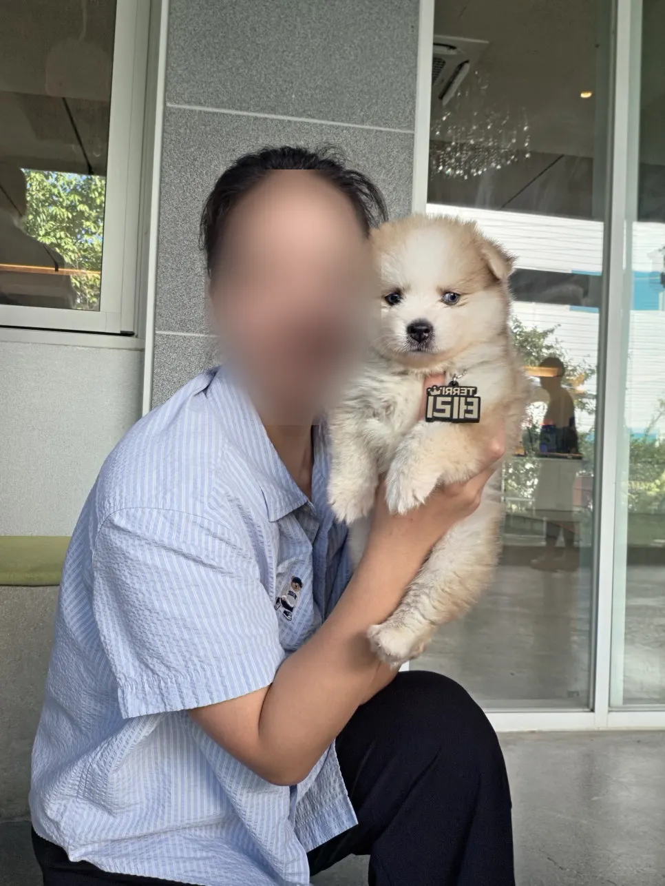 A child who loves dogs