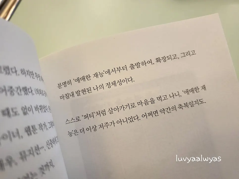 추억과 가족 이야기를 담은 에세이툰