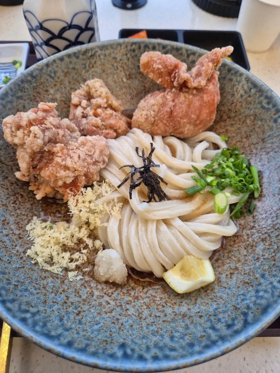 Springy handmade udon noodles