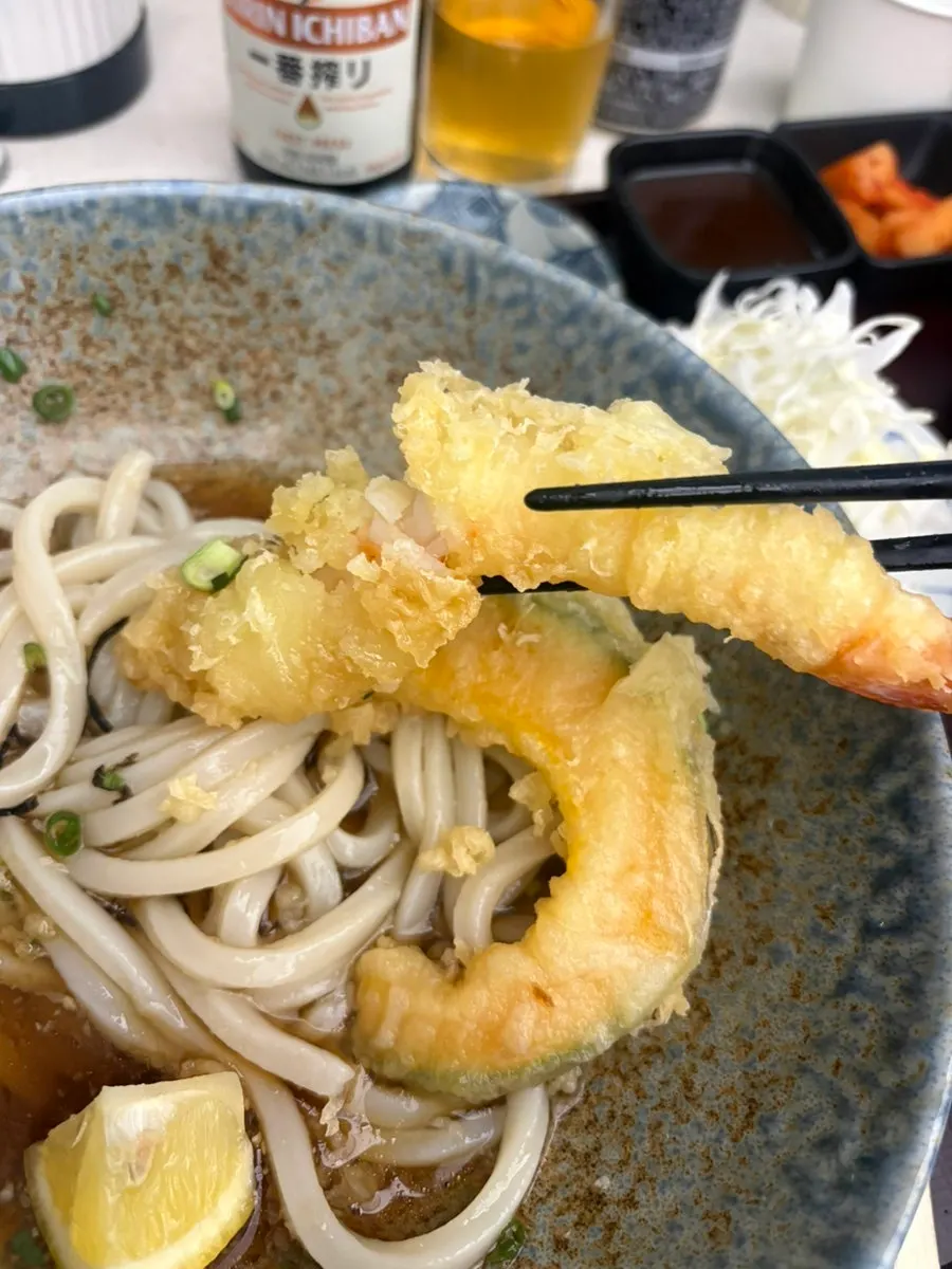 Half-and-half katsu meal set