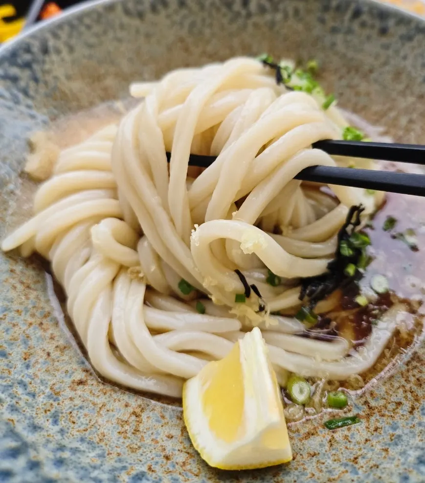 Udon with grated daikon and scallions