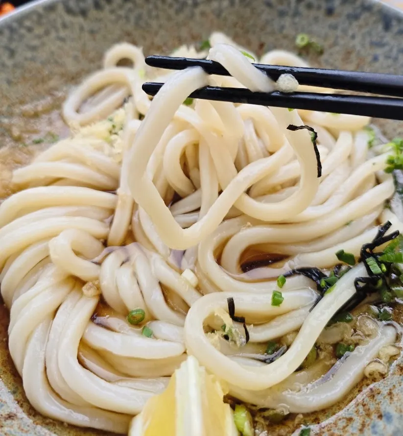 Bukkake udon noodles coated in sauce