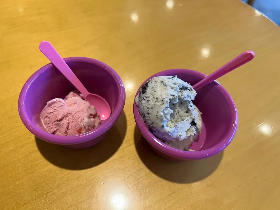 Oreo ice cream enjoyed for dessert