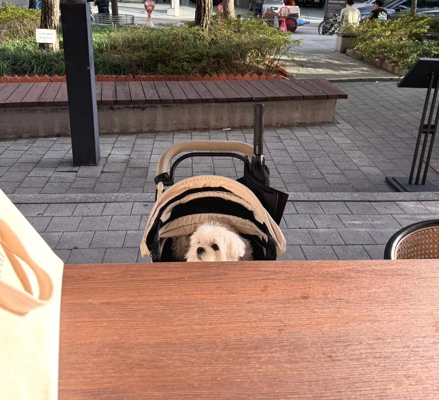 Bar table seating good for sitting side by side