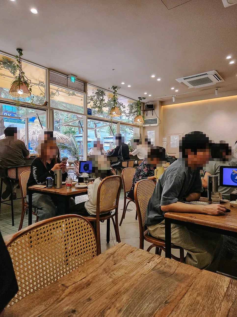 라탄 의자와 플랜테리어로 꾸민 실내 좌석