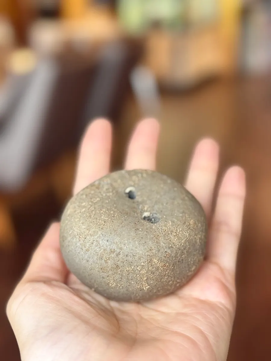 Cross-section of a bitten bultan gamja bread