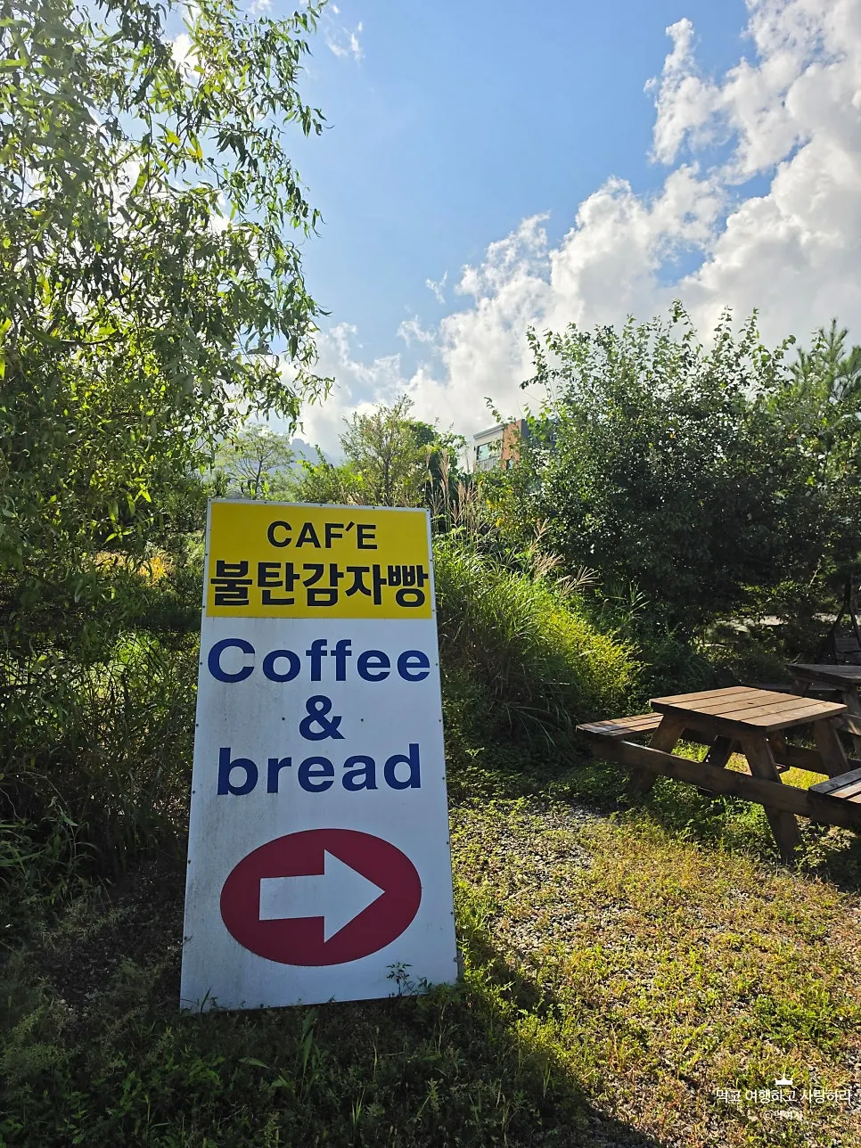 Exterior of Sokcho Bultan Gamja Bread Main Store with character illustrations