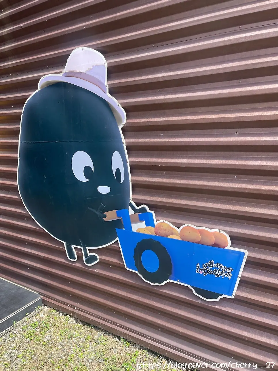 속초불탄감자빵 본점 입구 주변 풍경