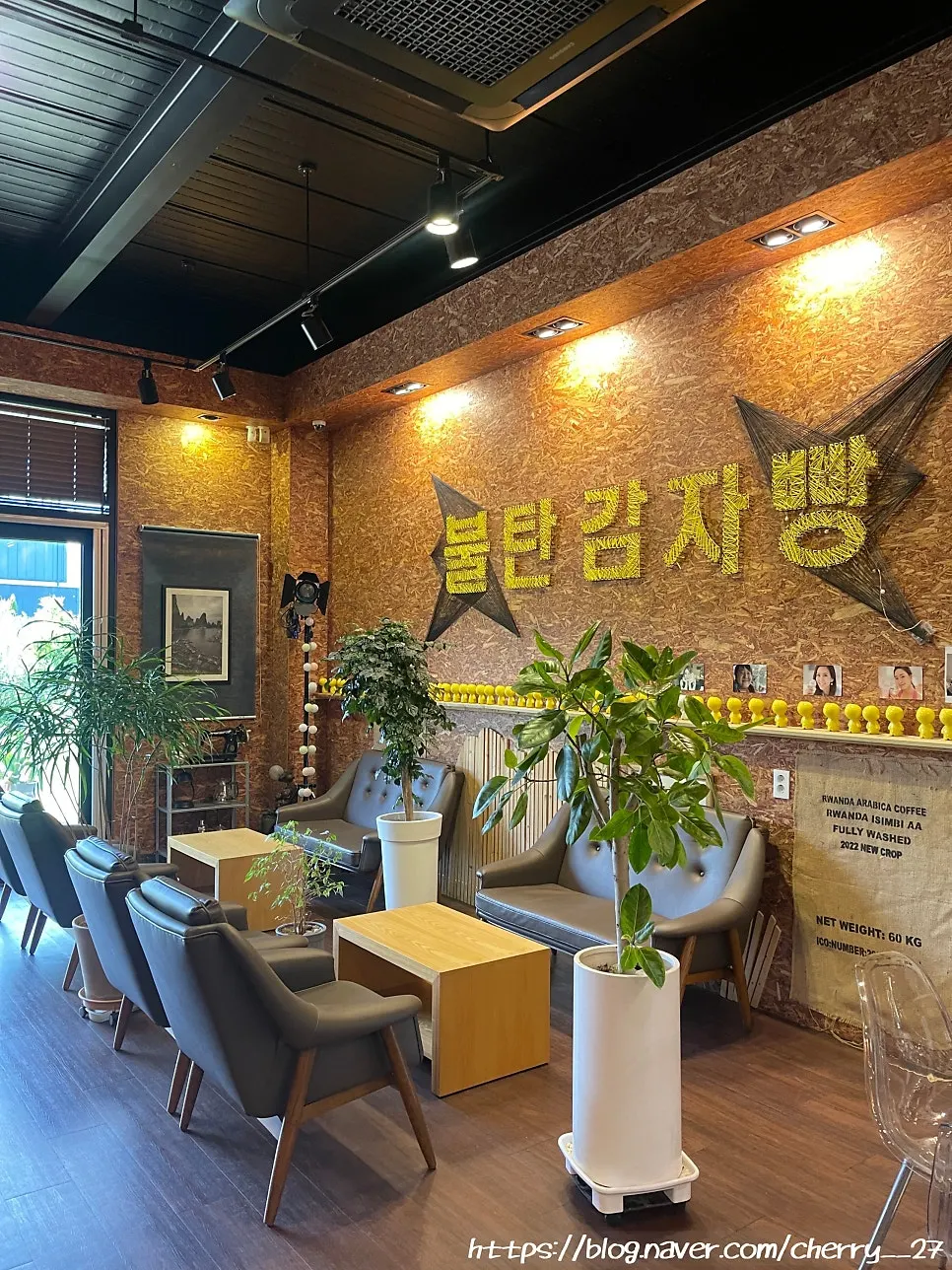속초 베이커리 카페 불탄감자빵 본점 매장 안