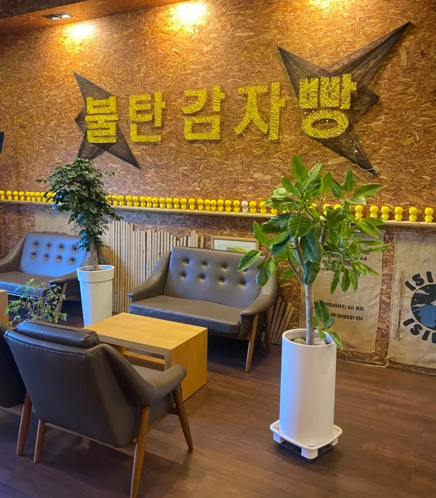 플랜테리어가 된 카페 좌석