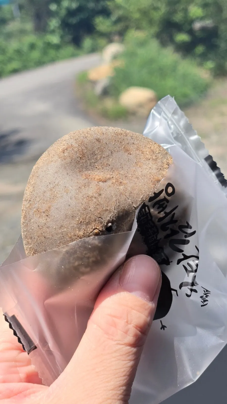 검은 곡물 가루를 묻힌 감자빵 한 개
