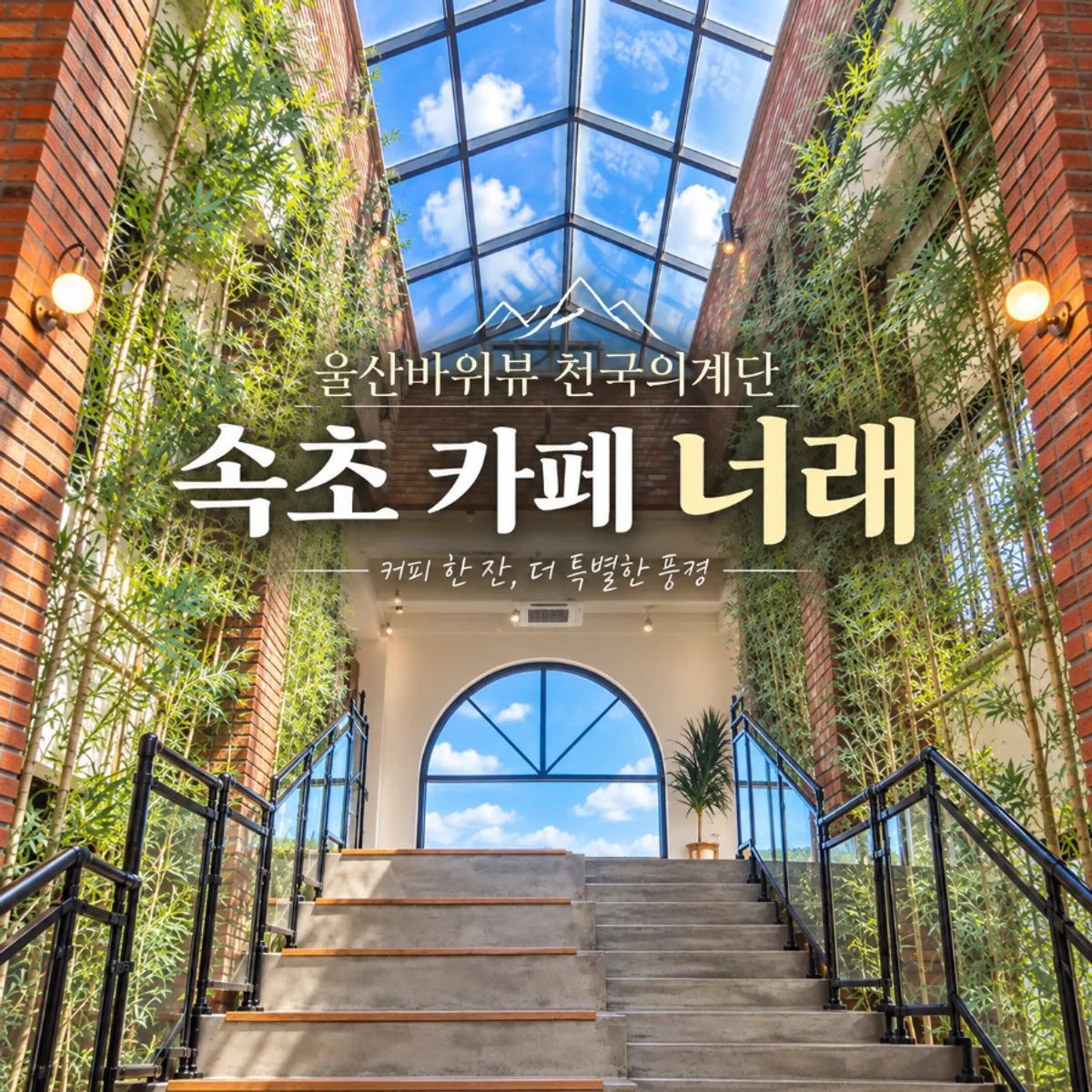 Exterior of Cafe Neorae, a large café in Haksapyeong, Sokcho