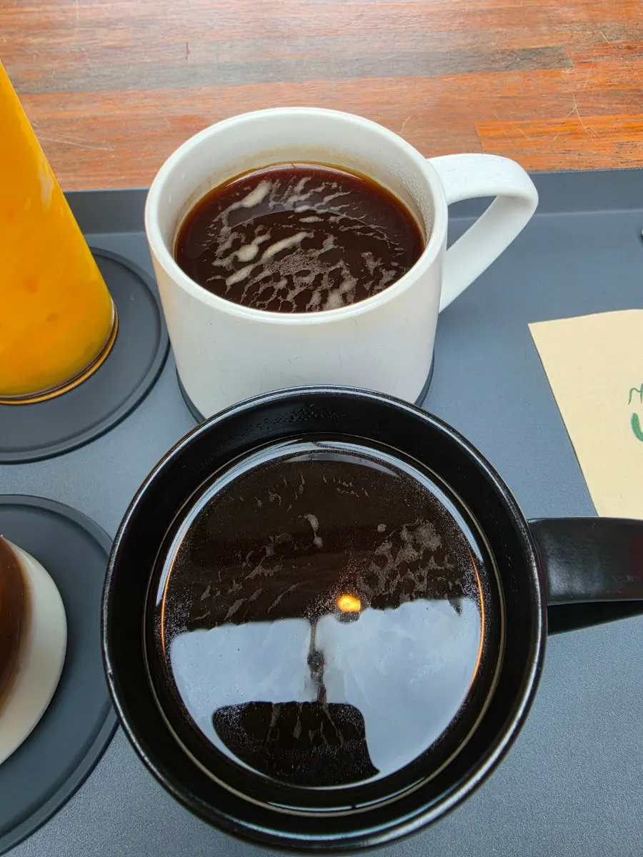 Hot Americano and apple mango smoothie