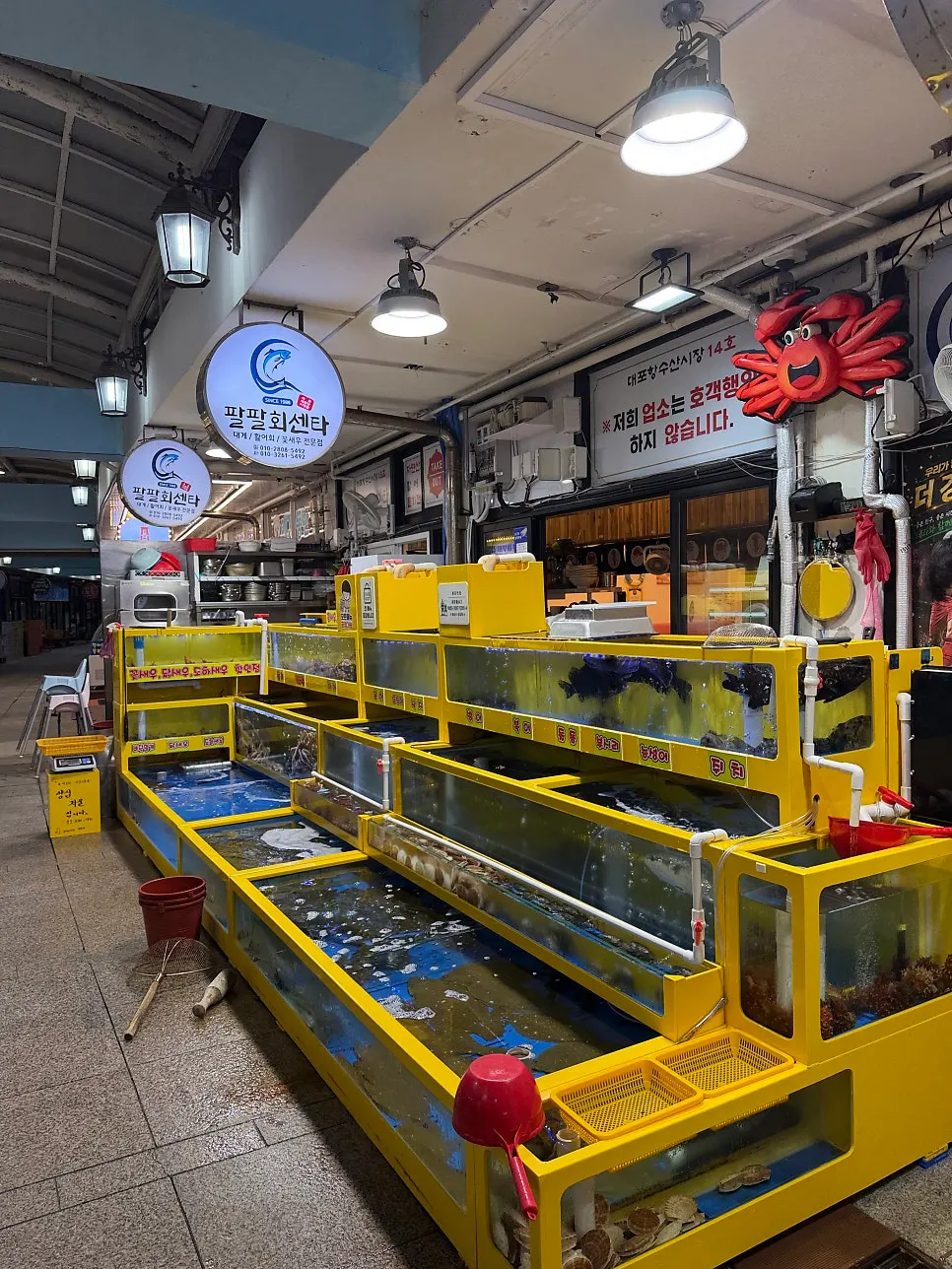 Seafood tank at the back of the restaurant