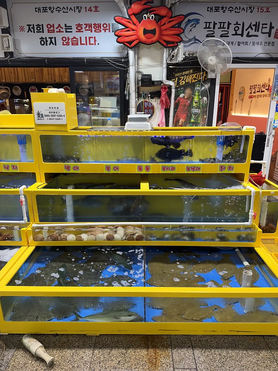 多様な海鮮がいる店内の水槽