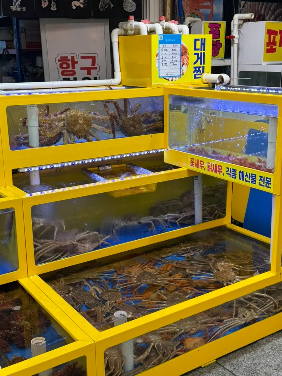 수족관 속 대게와 활어