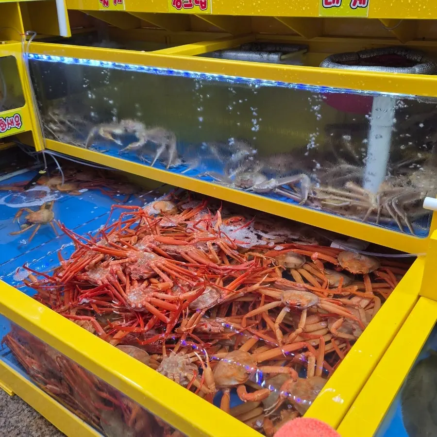 대포항수산시장 팔팔회센타 매장