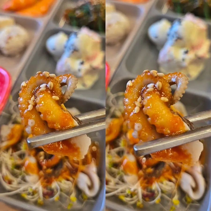 Close-up of abalone and spot shrimp