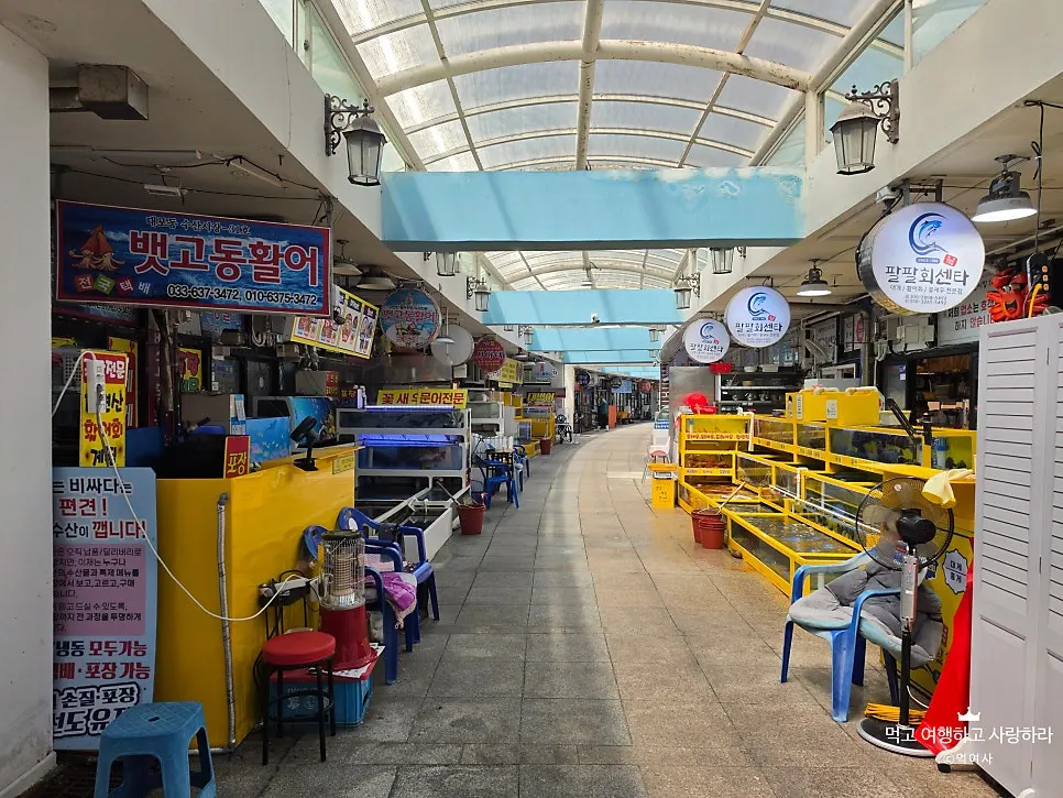 대포항수산시장 횟집 거리 전경