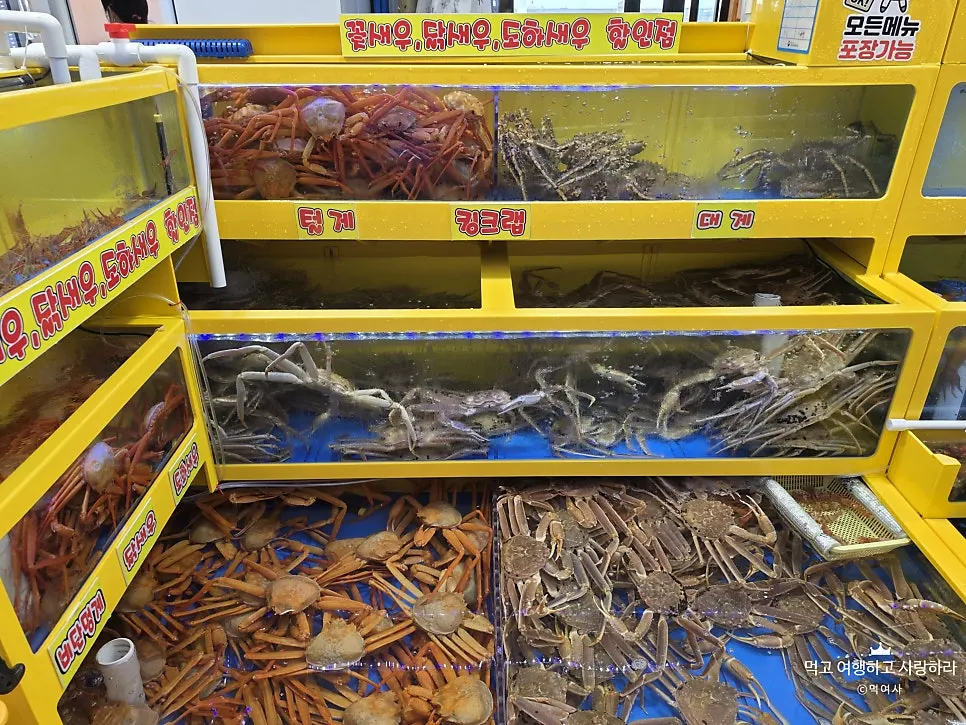 팔팔회센타 앞 노란색 해산물 수조