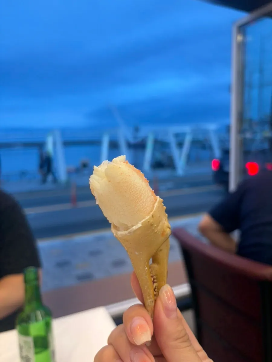 Snow crab leg packed with meat