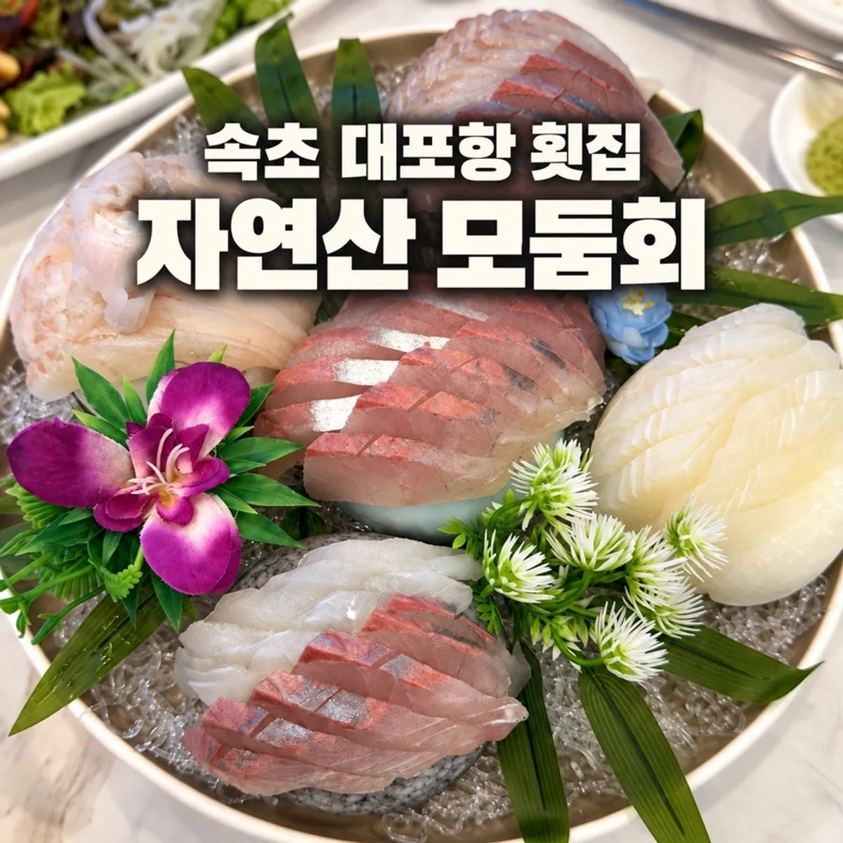 속초 대포항 항구활어 자연산 모듬회 대표 사진