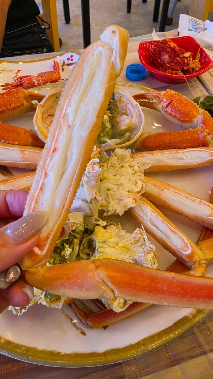 A snow crab leg packed full of meat