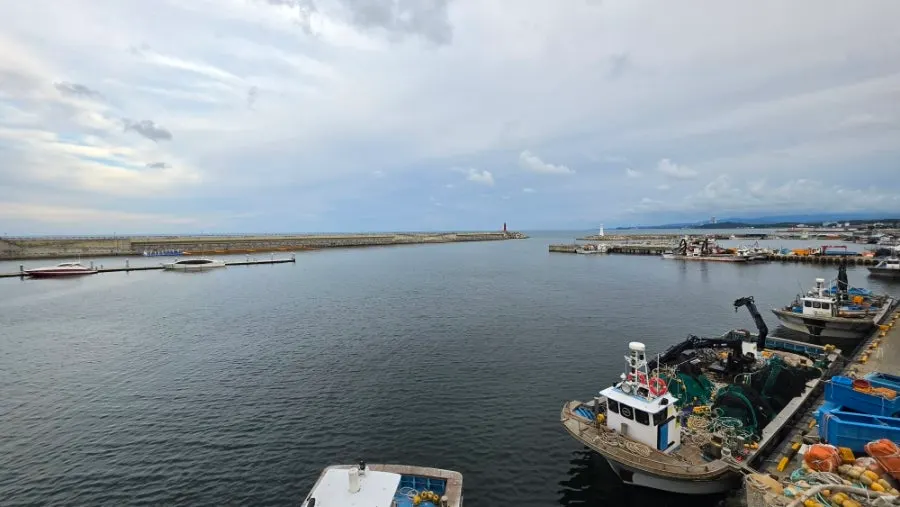 Deck walkway extending over Daepo Port's sea