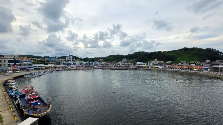 Daytime view of Daepo Port's sea