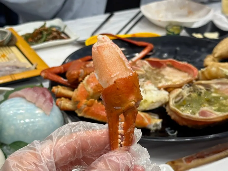 Close-up of a snow crab leg packed with meat
