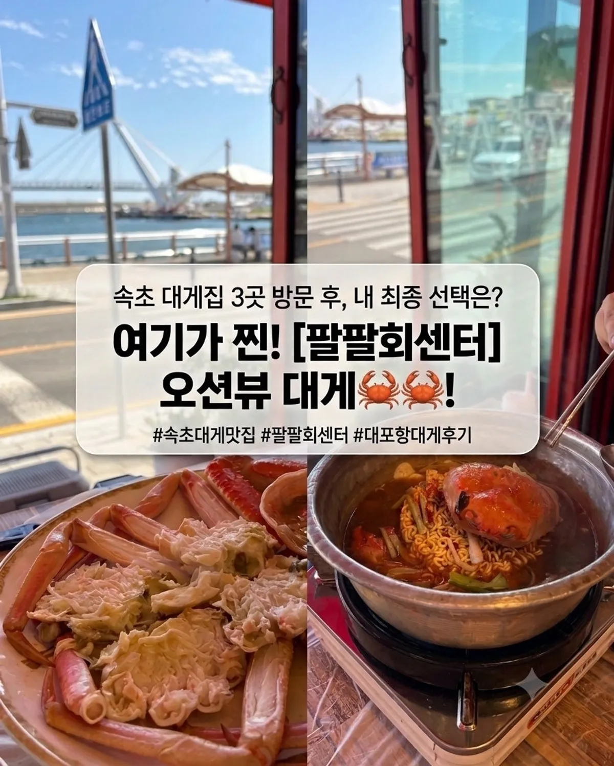 속초 대포항 팔팔회센타 대게 세트 대표 사진