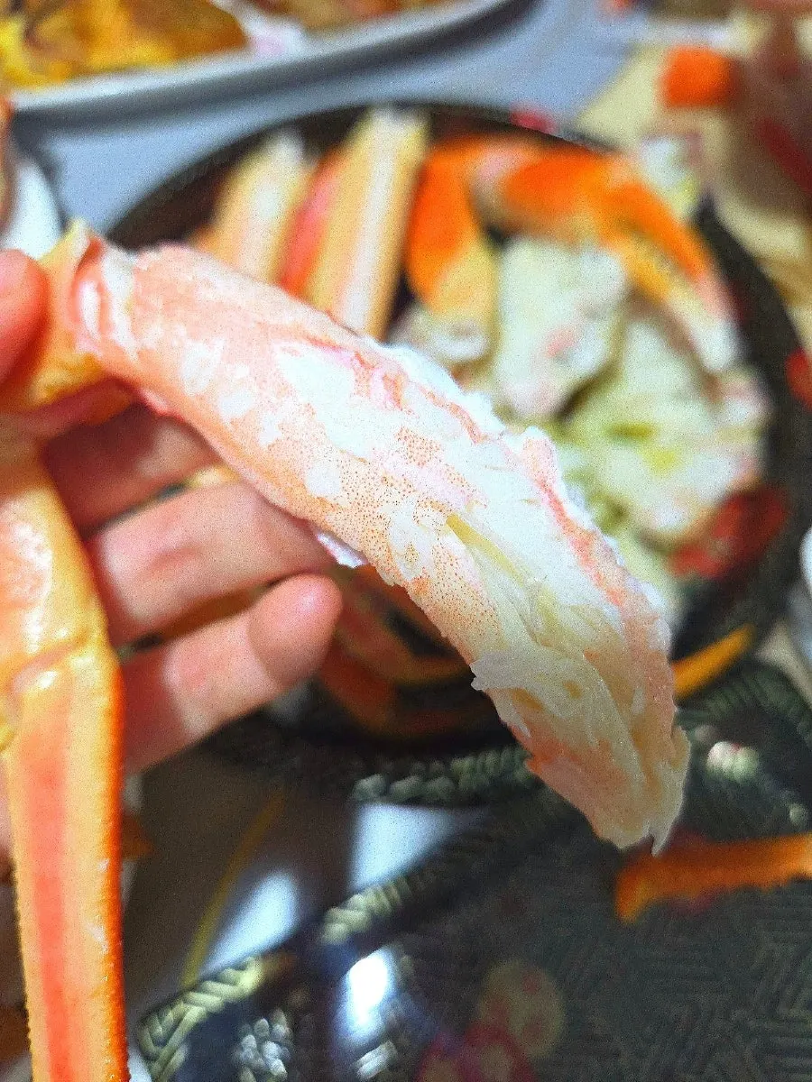 Close-up of plump snow crab claw meat