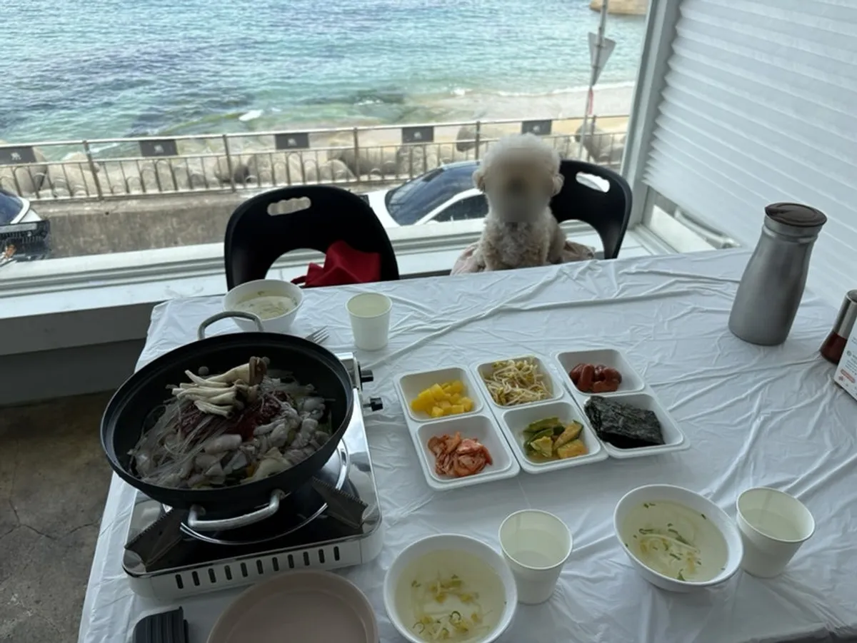 바다뷰 테이블에 함께 앉은 강아지