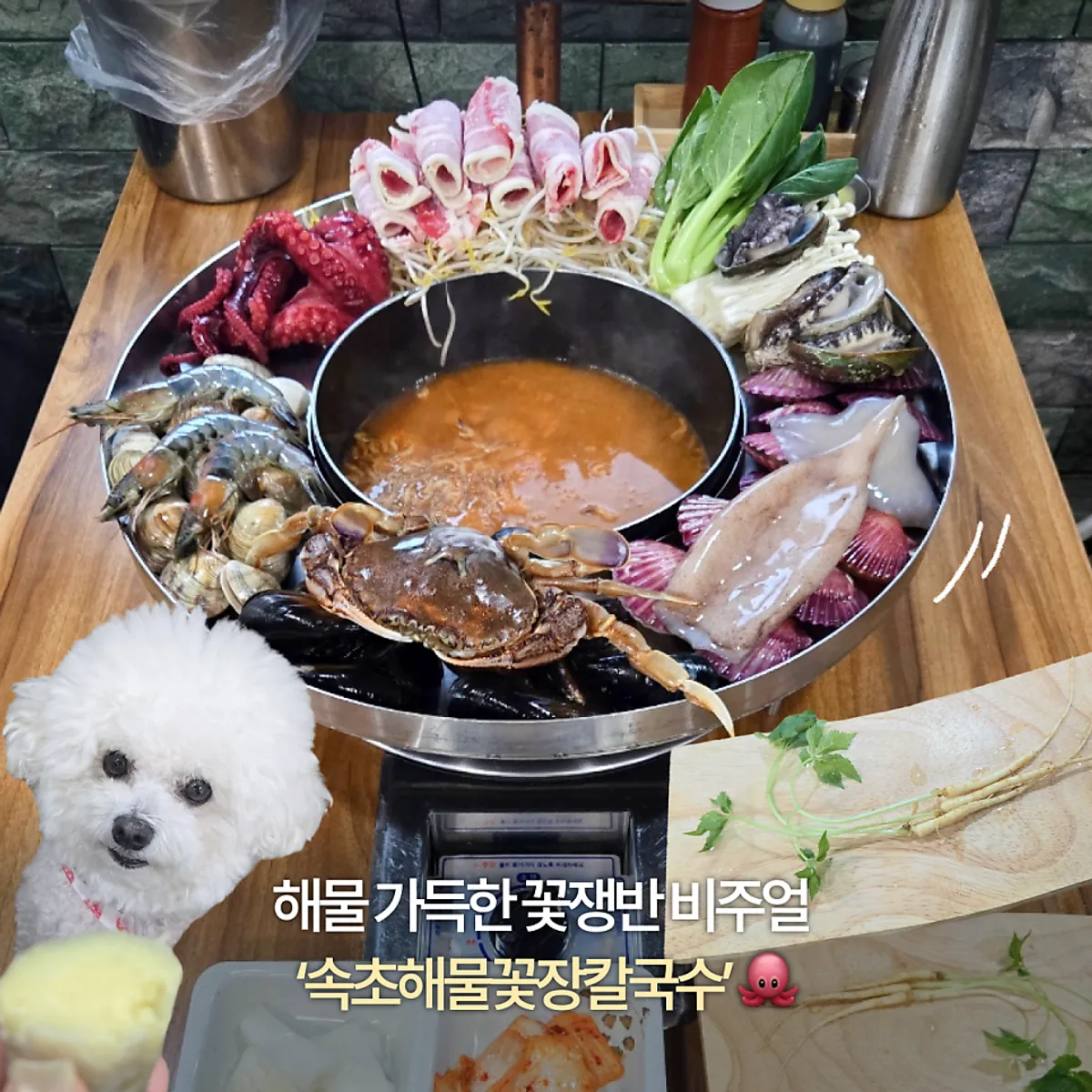속초해물꽃장칼국수 해물 꽃쟁반 대표 사진