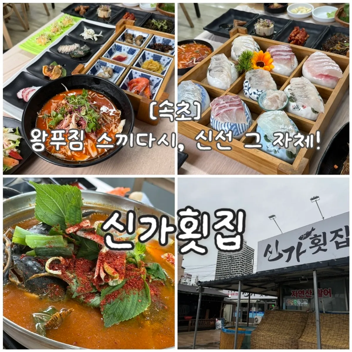 속초 신가횟집 모둠회 대표 사진