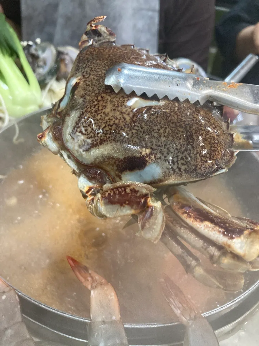 살짝 데친 문어와 오징어