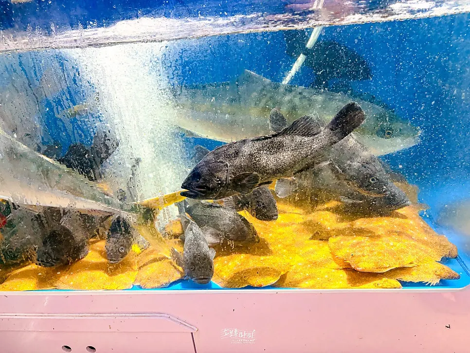 Packed assorted sashimi with flounder, rockfish, and fluke