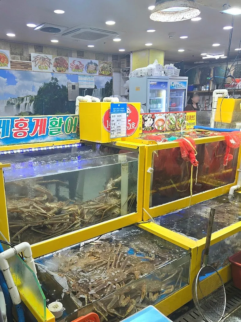 수조에 담긴 전복과 멍게