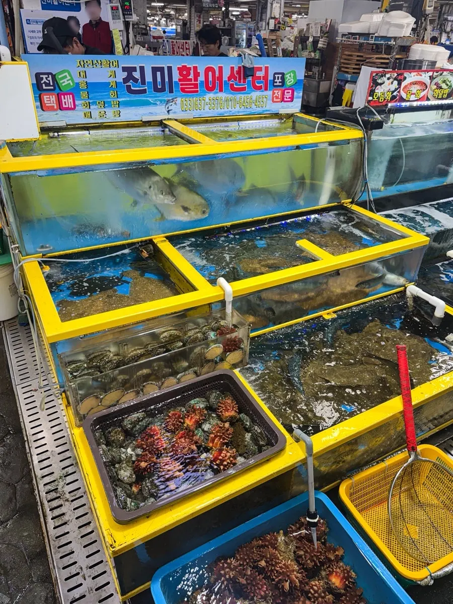 Live fish tank at Jinmi Hwareo Center