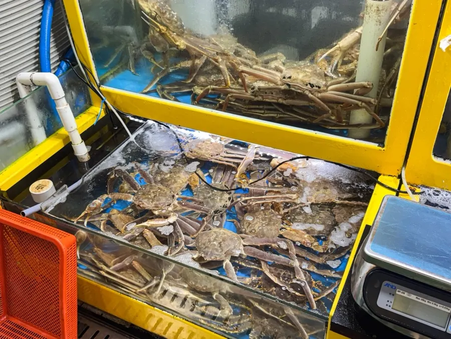 Tank holding snow crab and red crab at Jinmi Hwareo Center