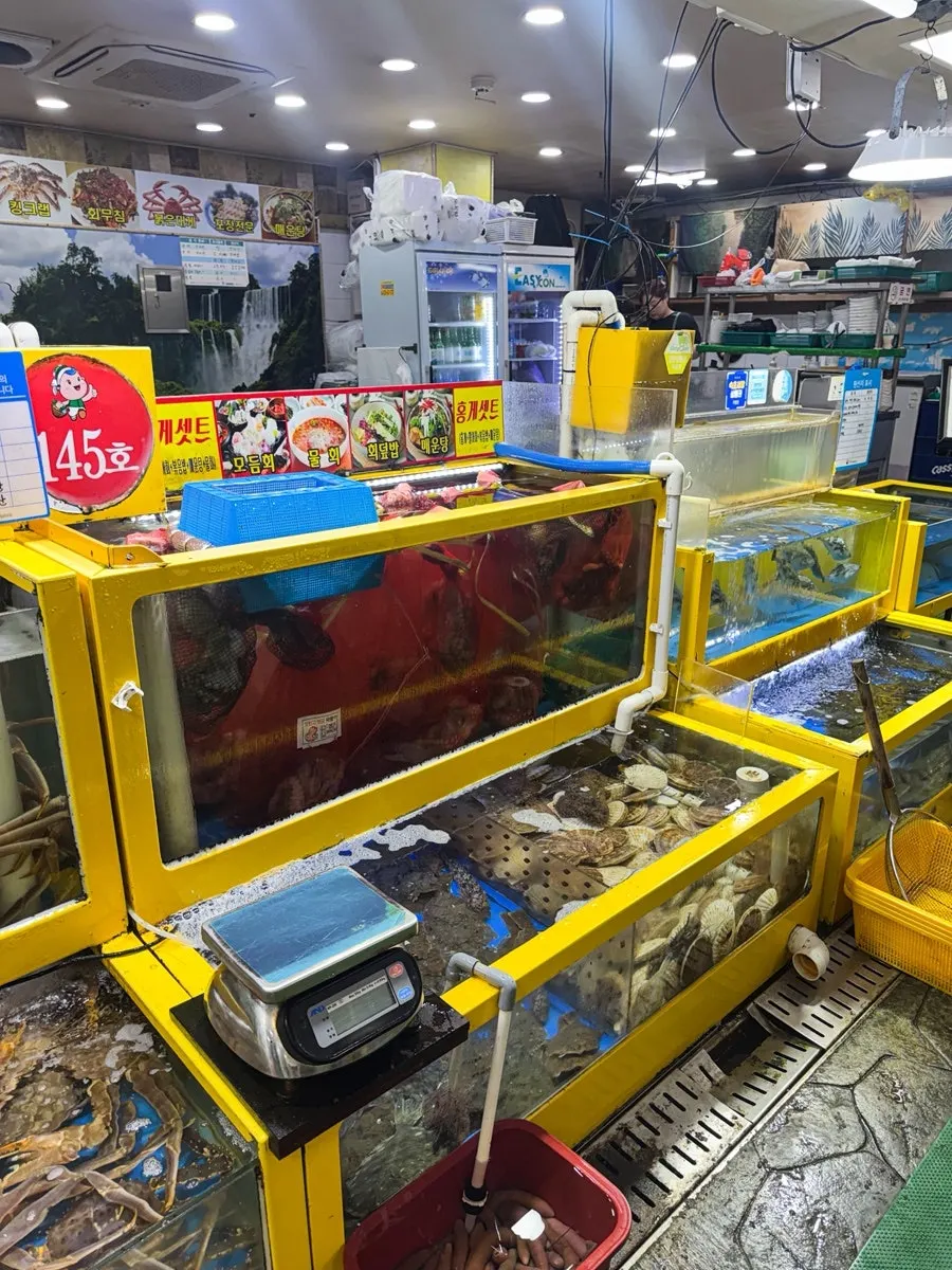 Neatly arranged tanks at the front of the shop
