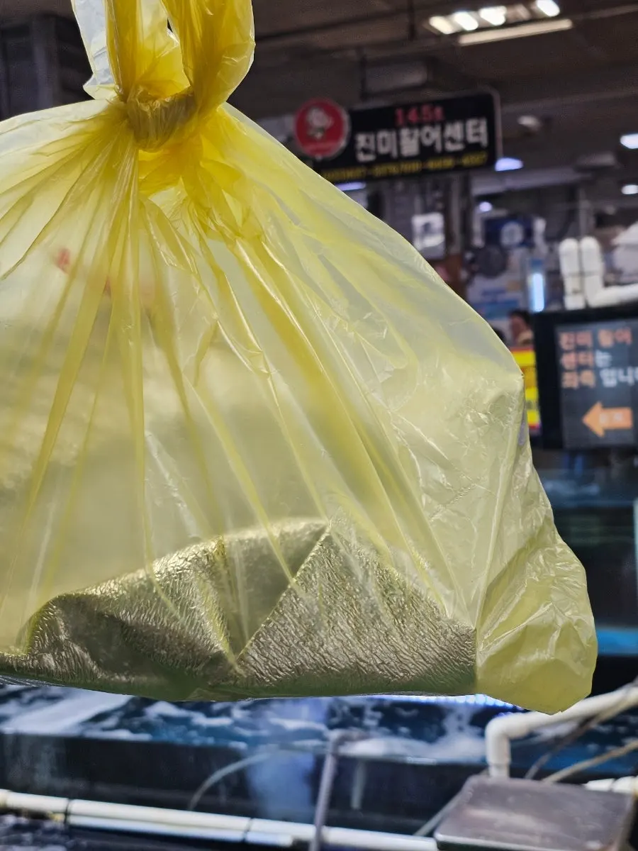 보냉백에 담긴 회 포장